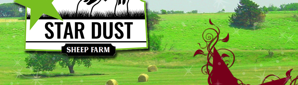 Stardust Sheep Farm - Lincolnville, KS