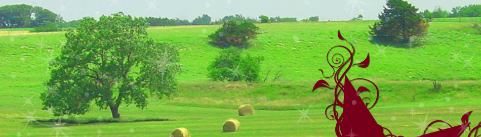 Stardust Sheep Farm - Lincolnville, KS